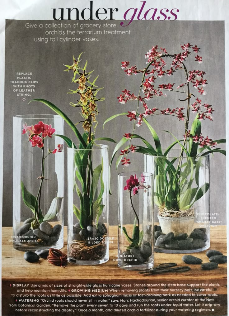 a magazine with three vases filled with flowers on top of a wooden table next to rocks