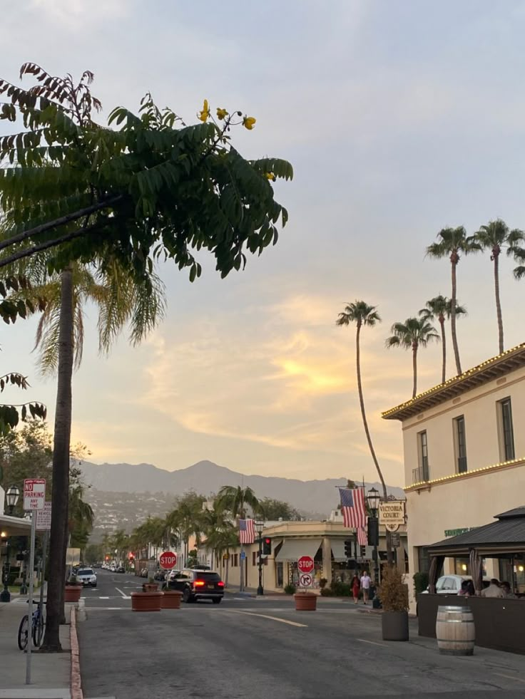 palm trees line the street in front of shops and businesses at sunset, with mountains in the background