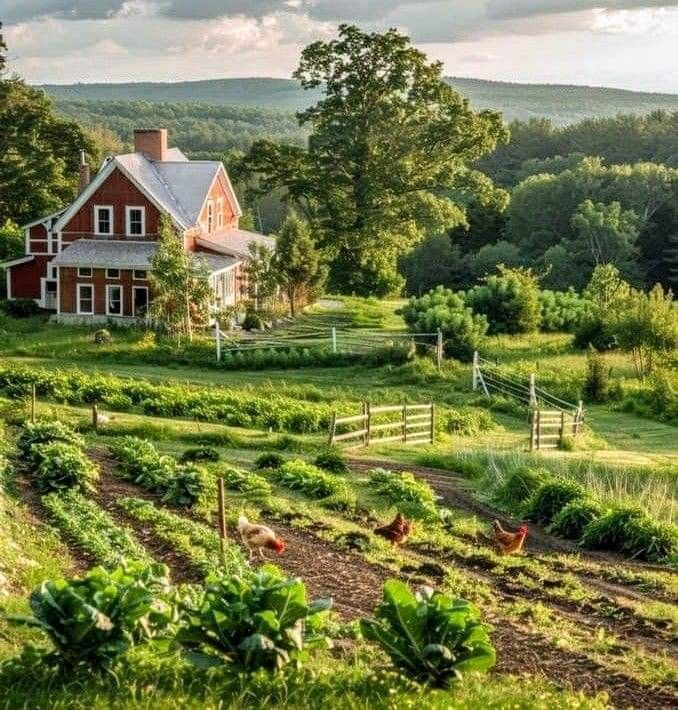 a farm house surrounded by lush green fields and trees in the distance, with chickens on the grass