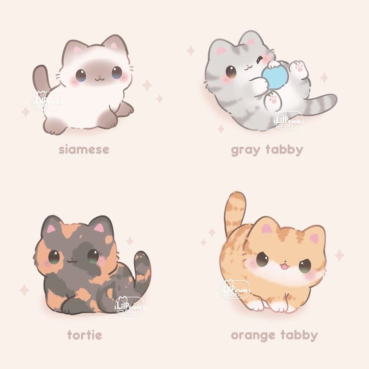 four different types of cats sitting on top of each other with the words siamese, gray tabby, orange tabby