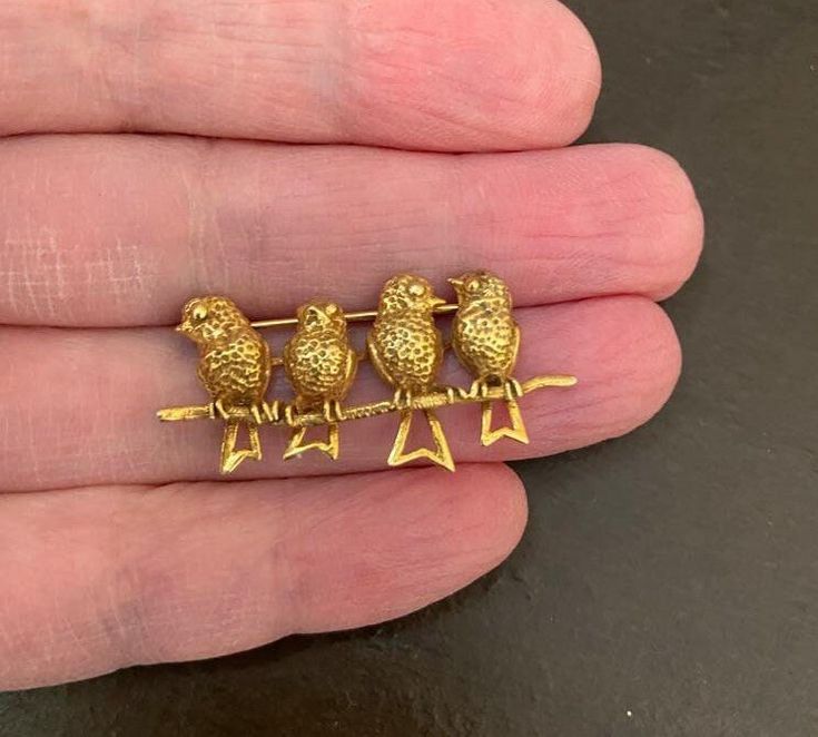 -Antique Victorian 14k Gold Four Bird on a Branch Brooch -Total size: 1.25 in x 0.6 in -Total weight: 3.1 g -Marked 14k Bird On A Branch, New City, Antique Victorian, Favorite Jewelry, Brooch Pin, Brooches, Accessory Gift, Display Homes, Pet Supplies