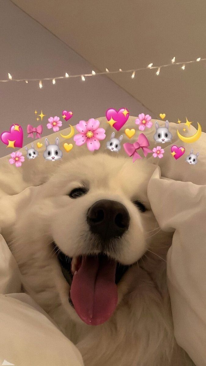 a white dog laying on top of a bed covered in blankets and pillows with pink flowers