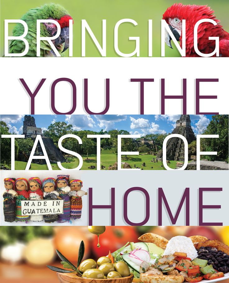 the cover of bringing you the taste of home, with an image of a parrot