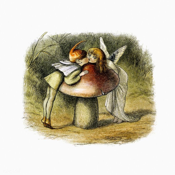 a fairy sitting on top of a mushroom next to a bird