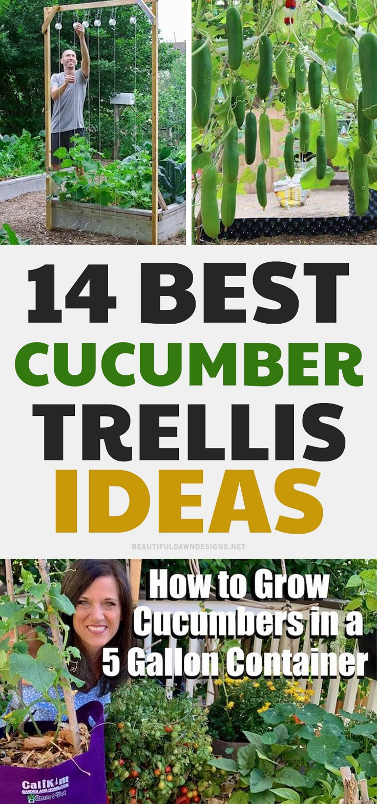 the best cucumber trellis ideas how to grow cucumbers in a 5 gallon container