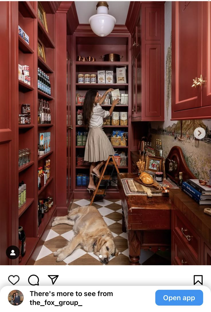 a woman standing in a pantry with a dog laying on the floor next to it