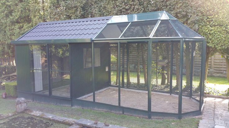 a chicken coop in the middle of a yard with a green roof and two windows