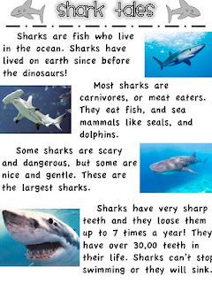 sharks are fish who live in the ocean