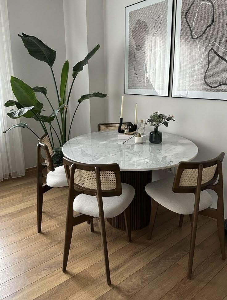 a dining room table with two chairs and a plant in the corner next to it