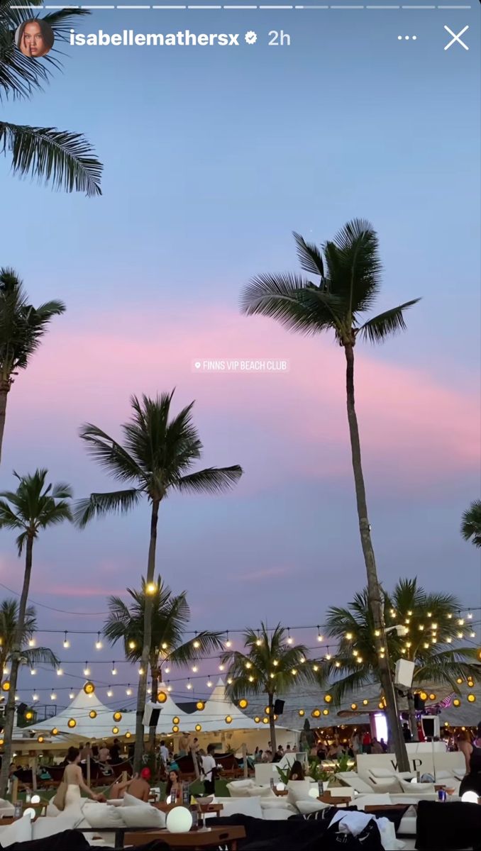 palm trees in front of the ocean at dusk with lights strung from them and people sitting under umbrellas