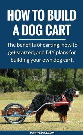 a dog pulling a cart with the words how to build a dog cart