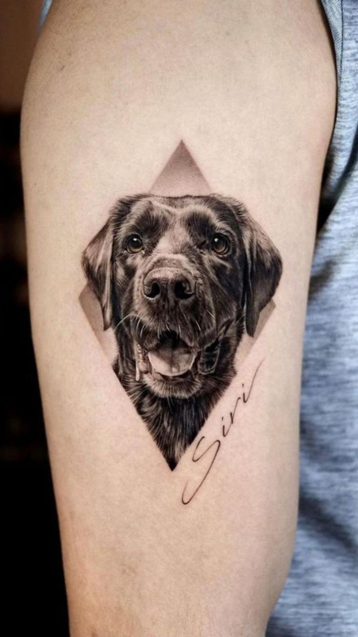 a dog's face is shown on the arm