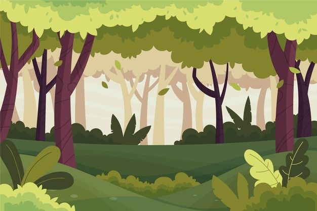 an image of a forest scene with trees and plants