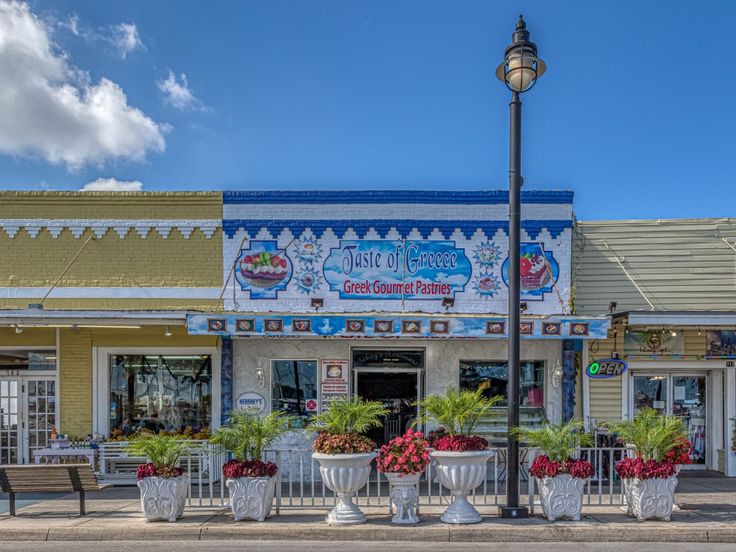 an empty street corner with potted plants on the sidewalk in front of a store