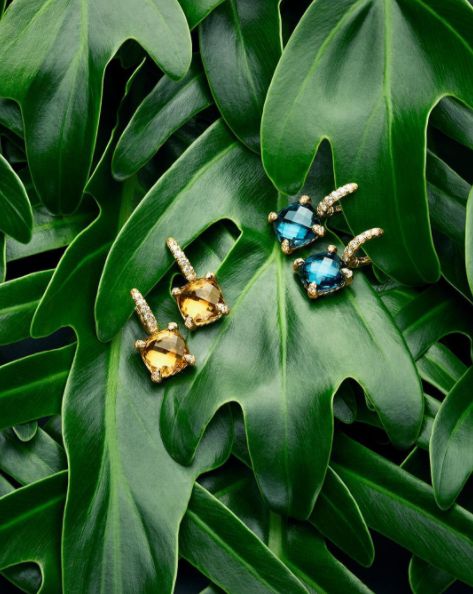 two blue and yellow earrings sitting on top of green leafy leaves, with the caption's photo above them