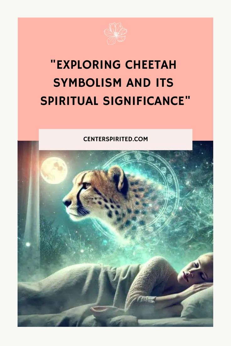 a cheetah laying in bed with the caption, exploring cheetah symboism and its spirital significance