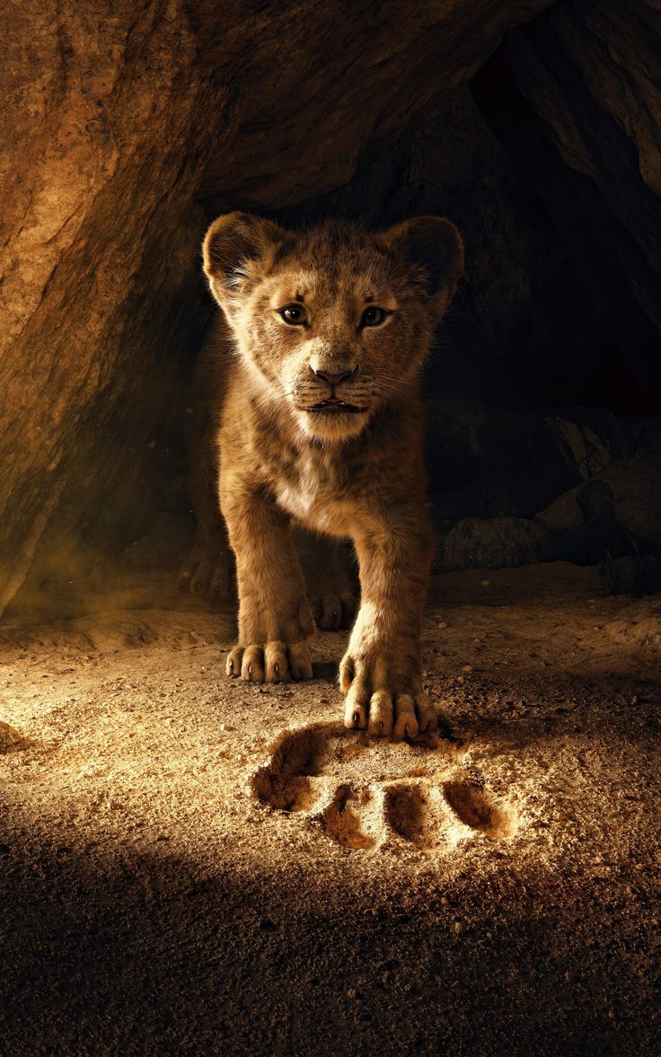 the lion cub from disney's live - action movie is shown in this poster