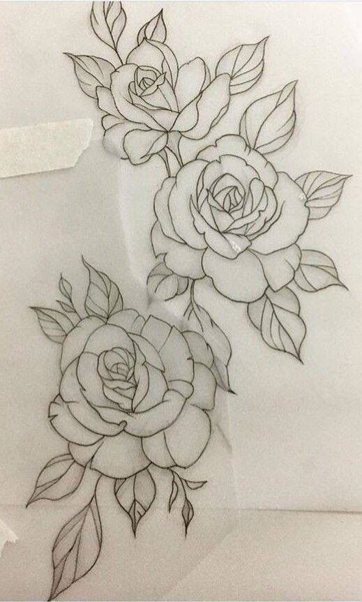 two roses with leaves are shown in this drawing