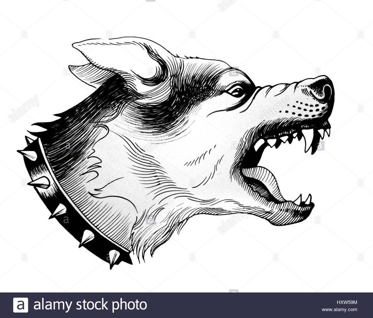 an illustration of a dog's head with spiked teeth