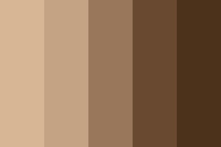 an image of different shades of brown in the same color scheme, from dark to light