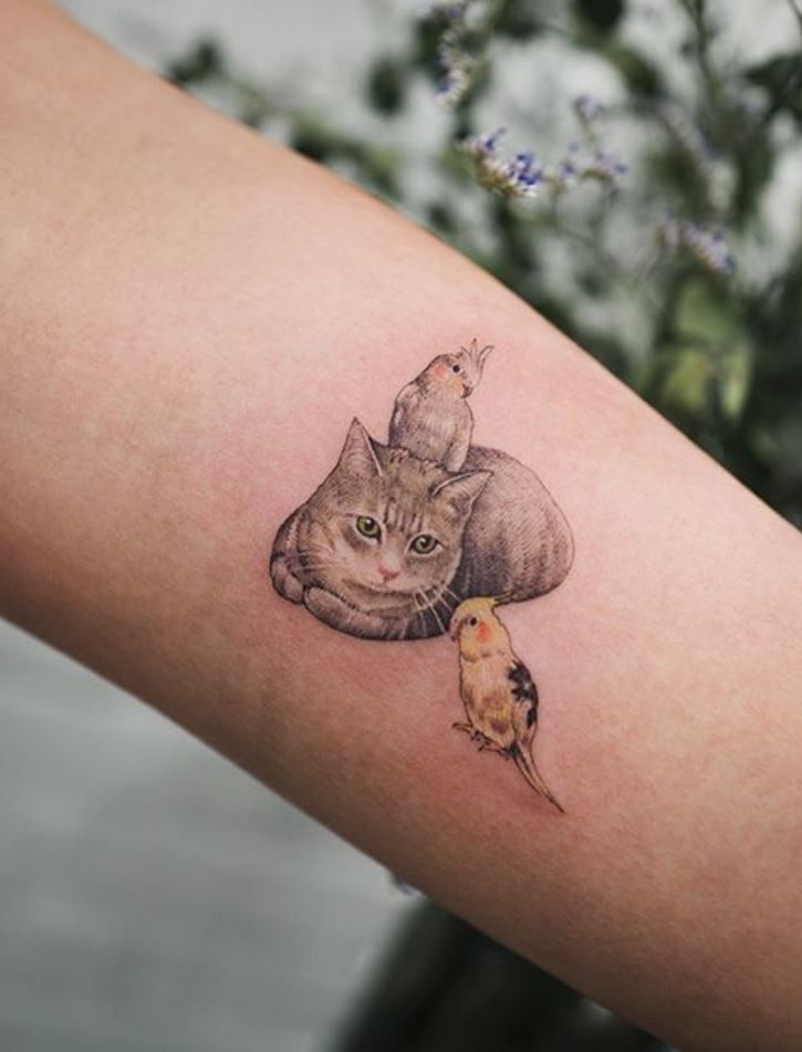 a cat and bird tattoo on the arm