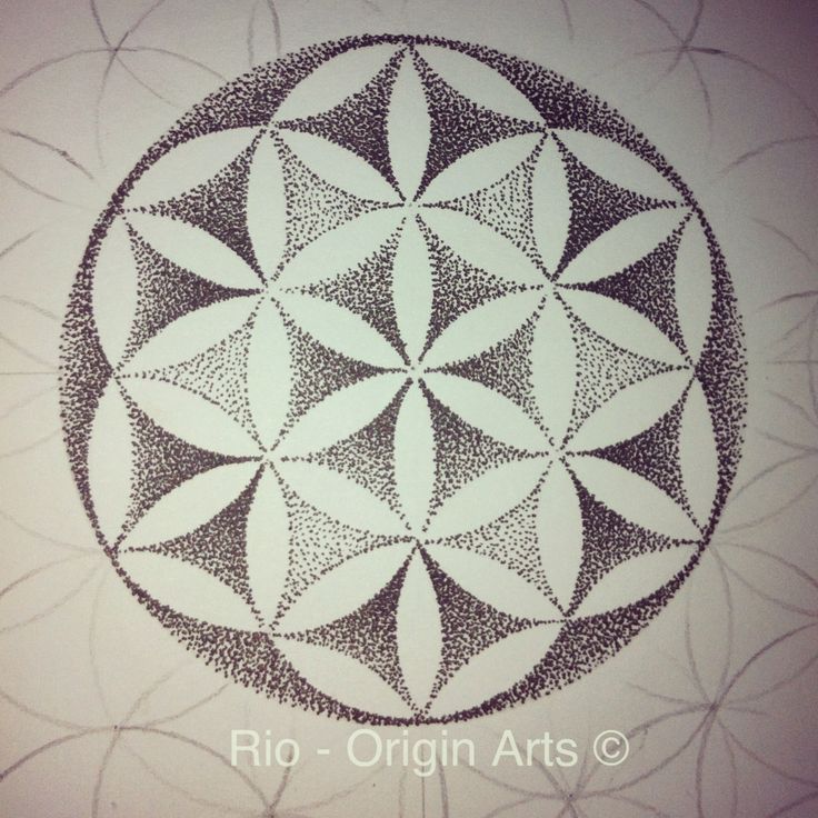 a drawing of a flower that is in the middle of a circle with circles on it