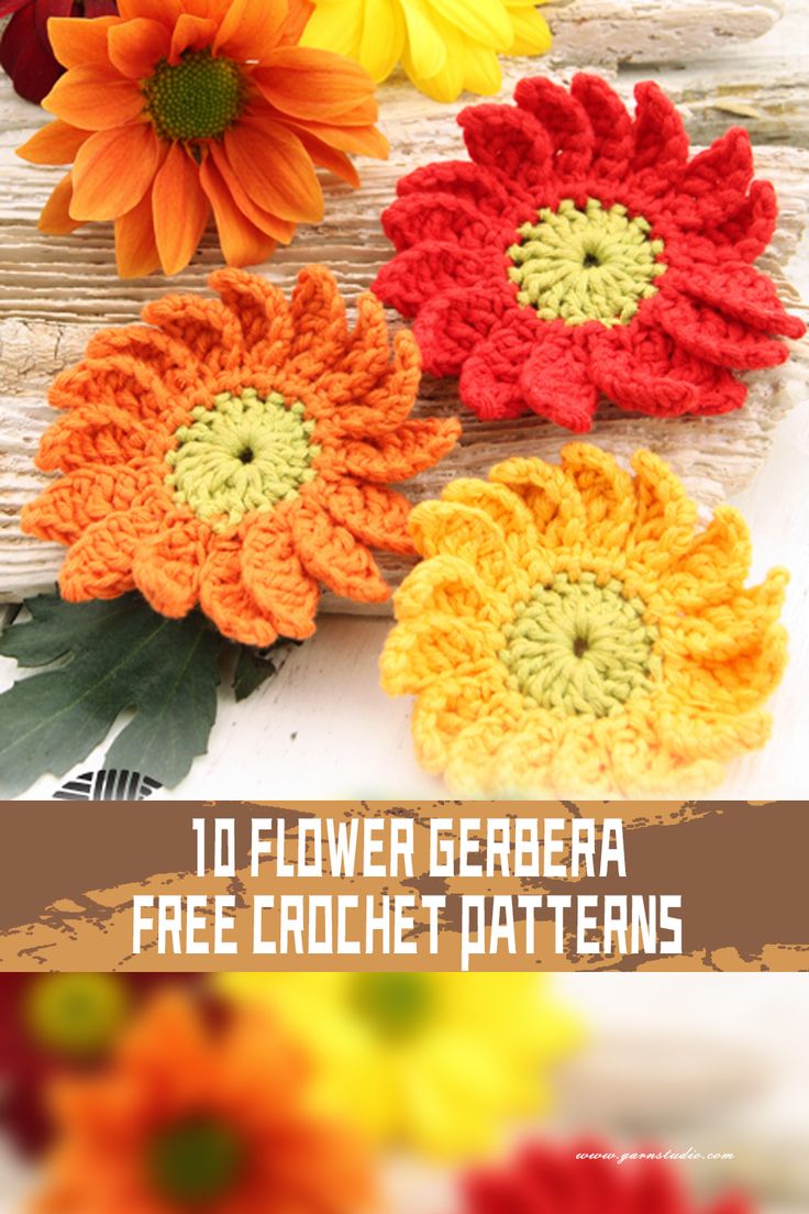 crocheted flowers with text overlay that reads, 10 flower gerbera free crochet patterns