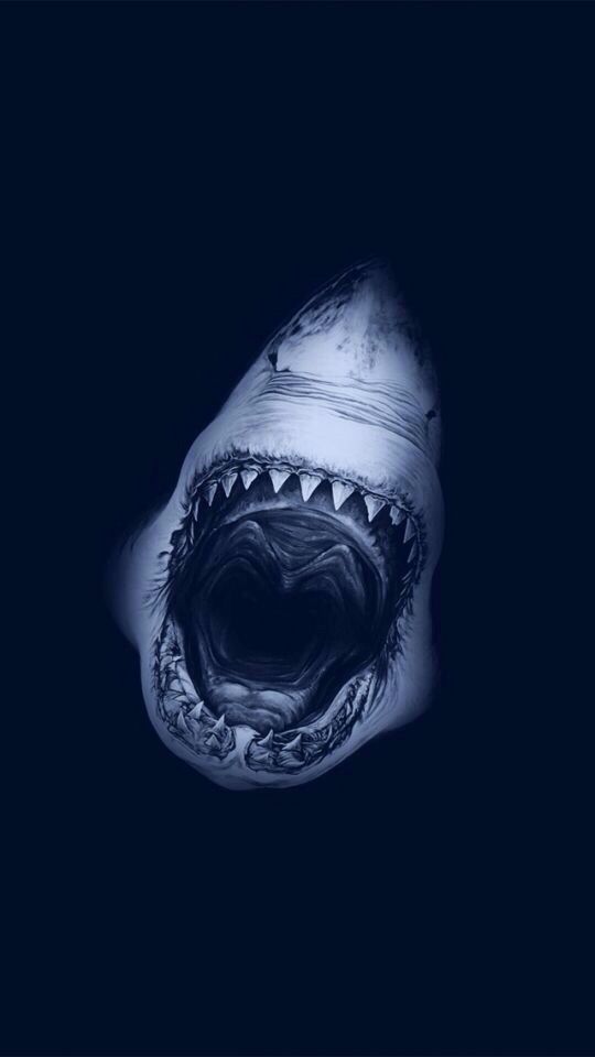 a shark with its mouth open in the dark