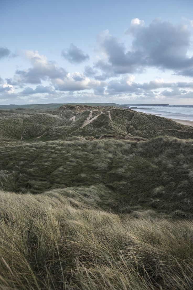 the grass is blowing in the wind at the beach