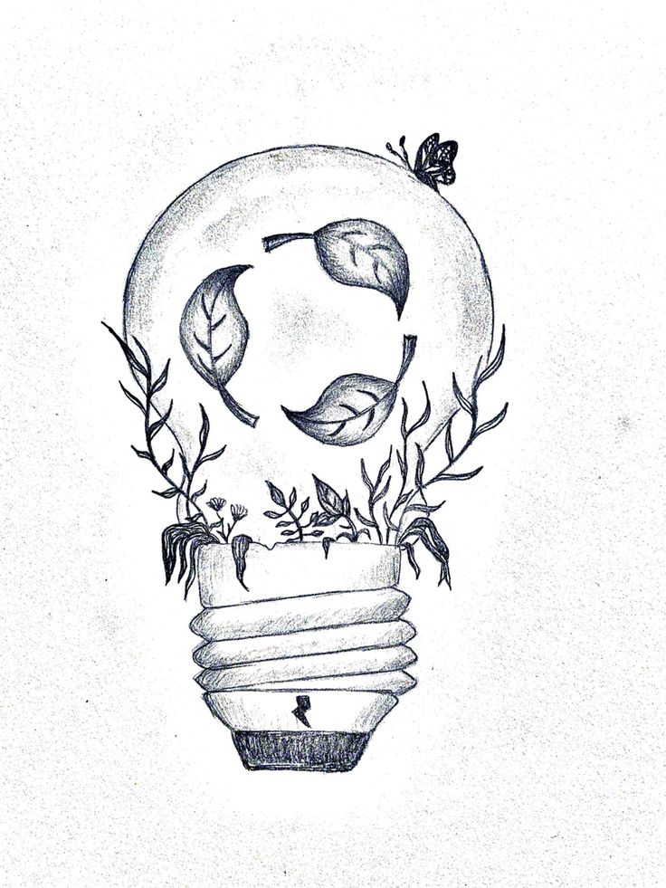 a drawing of a light bulb with plants growing out of it