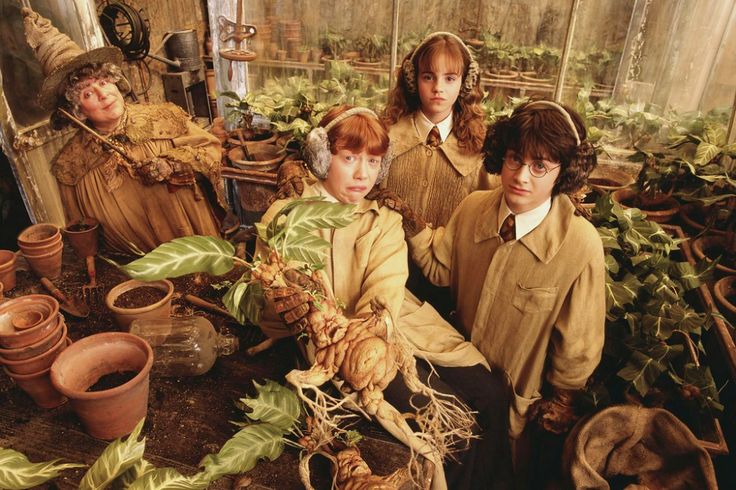 three children are sitting in a room full of potted plants