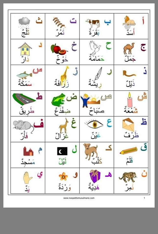 an arabic alphabet with pictures of animals and letters