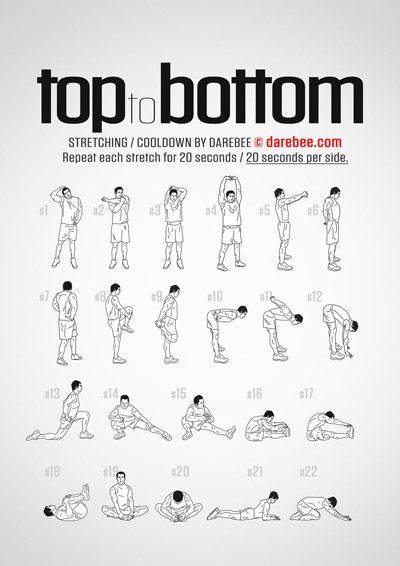 the top 10 bottom ten exercises for beginners