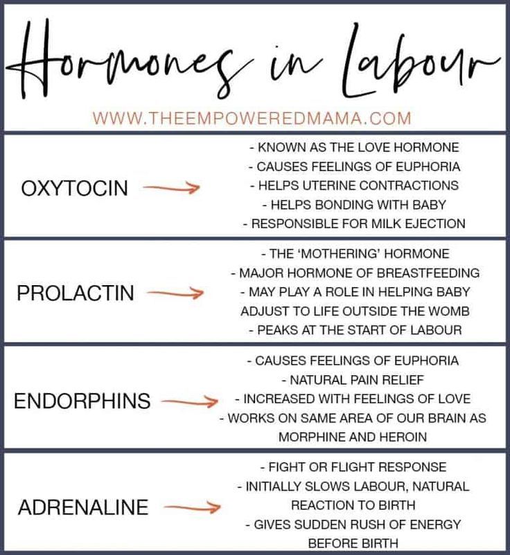 the four main types of homoness in laparon and eprophnia