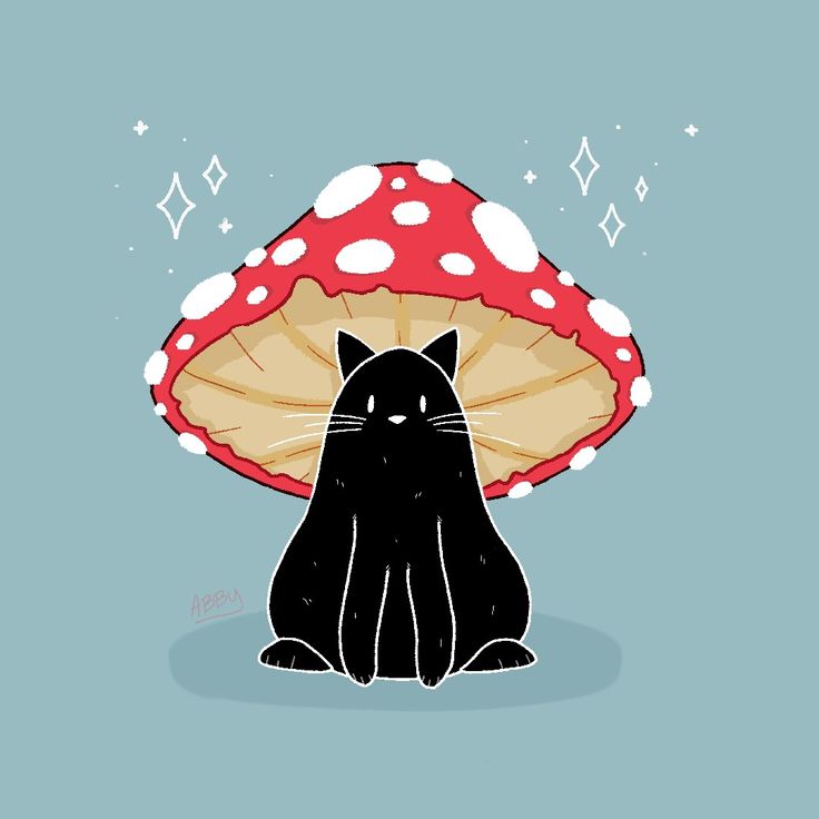 a black cat sitting in front of a mushroom