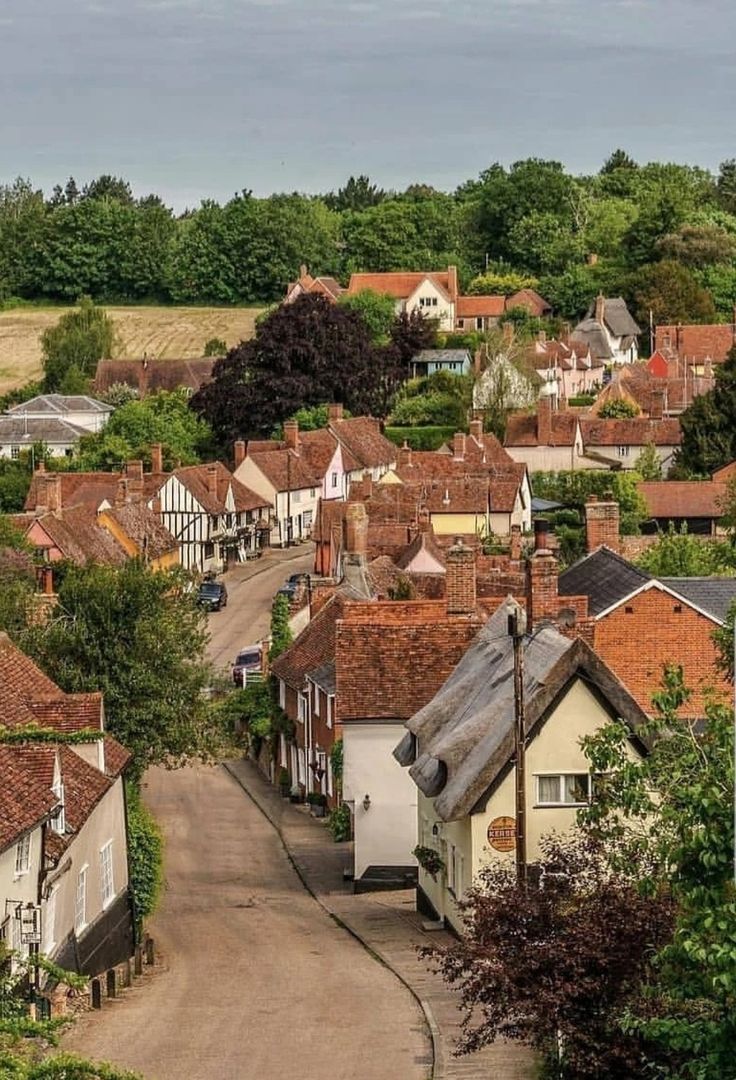 a small town with lots of houses and trees