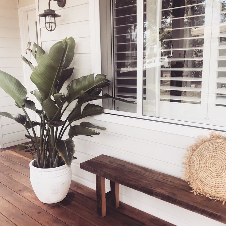 a large plant sitting on top of a wooden bench next to a white house with shutters