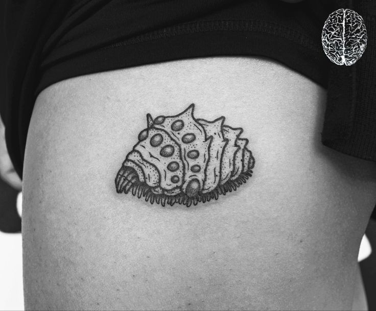 a woman's stomach with a small seashell tattoo on it