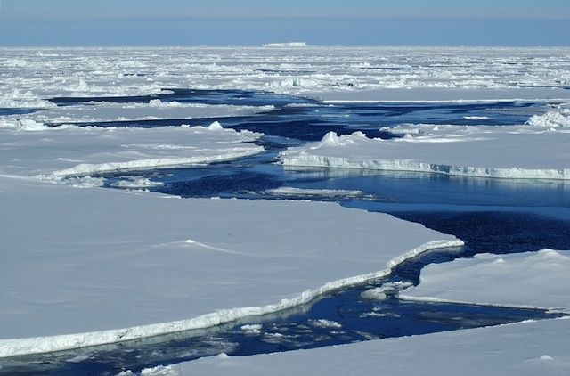 ice floes floating on the water near some snow covered land and blue sky in the background