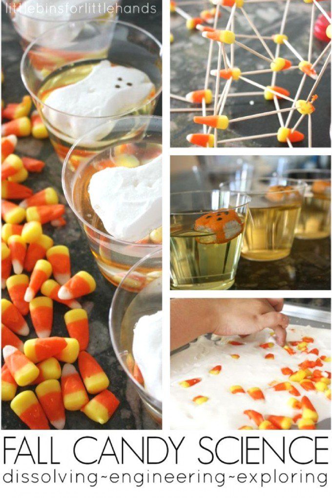 the fall candy science experiment is fun for kids and adults to do with their favorite halloween treats