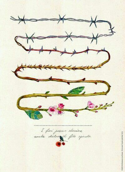 four different types of barbed wire with flowers and leaves on them, all in various colors