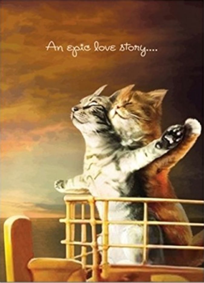 an image of two cats hugging each other on top of a boat with the caption'an expae love story '