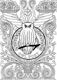 an owl sitting on top of a clock surrounded by flowers and leaves, in black and white