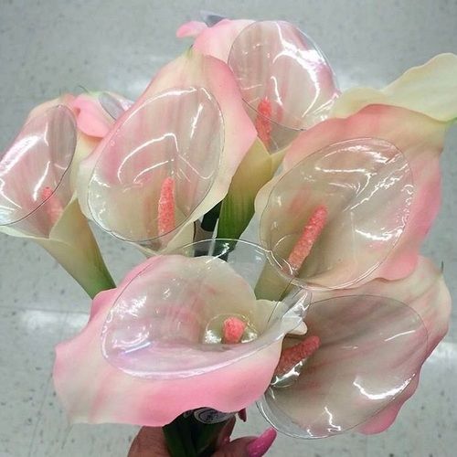 a hand holding a glass vase filled with pink and white calla lilies in it