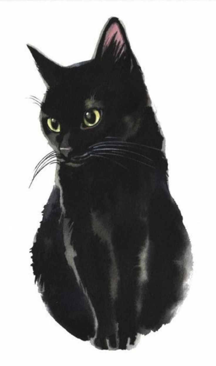 a black cat with green eyes sitting in front of a white background that says shutterstock com