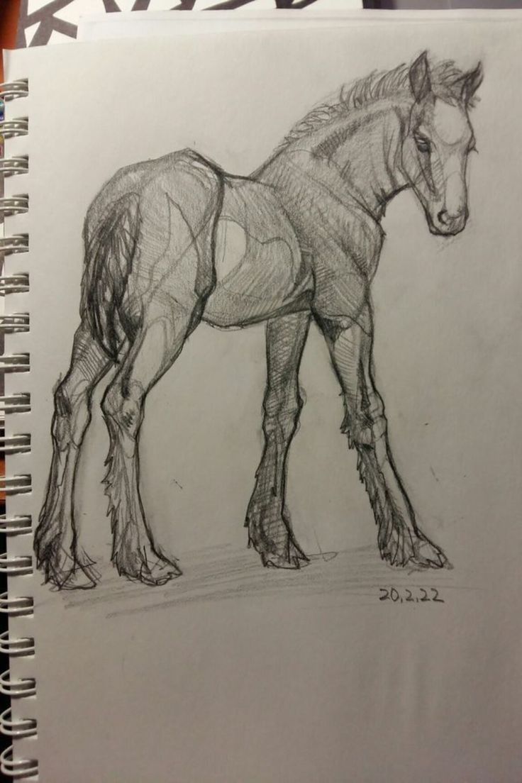 a pencil drawing of a horse standing on top of a table