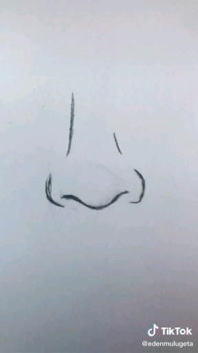 a drawing of a horse's nose is shown