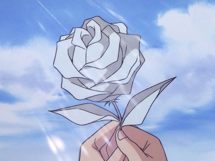 a hand holding a white rose in front of a blue sky with clouds and rain