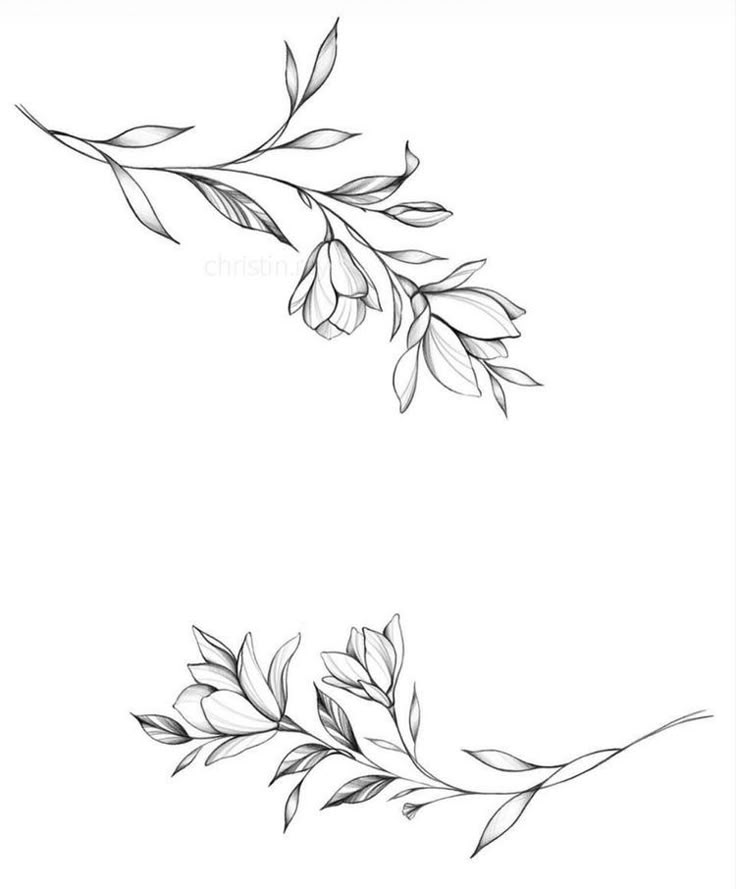 two black and white drawings of branches with leaves on them, one is drawn in pencil