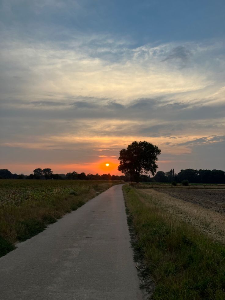 the sun is setting over an open field with a tree on one side and a path in the other